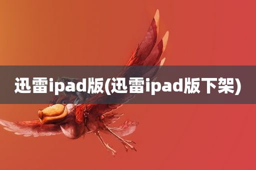 迅雷ipad版(迅雷ipad版下架)