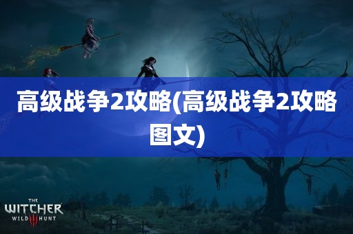 高级战争2攻略(高级战争2攻略图文)