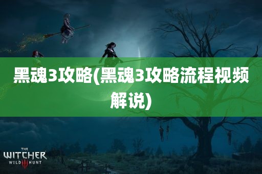 黑魂3攻略(黑魂3攻略流程视频解说)