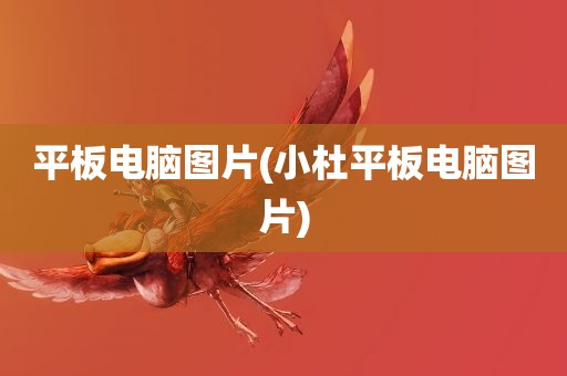 平板电脑图片(小杜平板电脑图片)