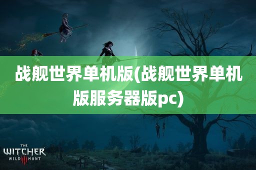 战舰世界单机版(战舰世界单机版服务器版pc)