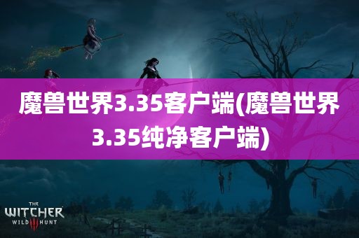 魔兽世界3.35客户端(魔兽世界3.35纯净客户端)