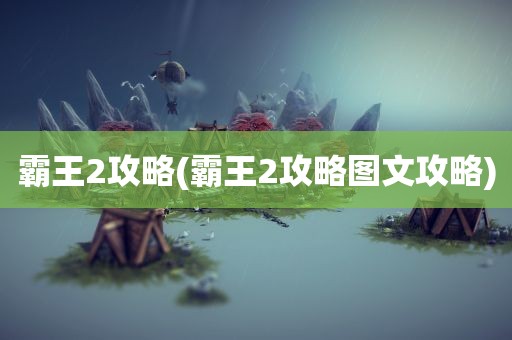 霸王2攻略(霸王2攻略图文攻略)