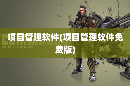 项目管理软件(项目管理软件免费版)