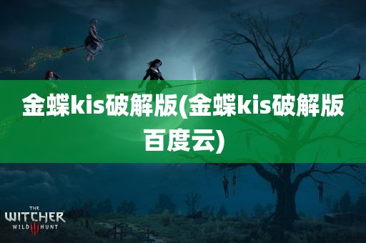 金蝶kis破解版(金蝶kis破解版百度云)