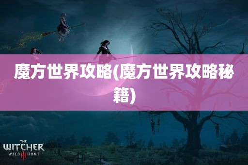 魔方世界攻略(魔方世界攻略秘籍)