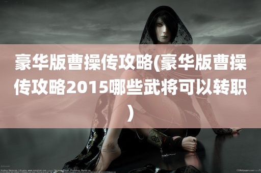 豪华版曹操传攻略(豪华版曹操传攻略2015哪些武将可以转职)