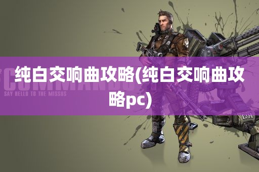 纯白交响曲攻略(纯白交响曲攻略pc)