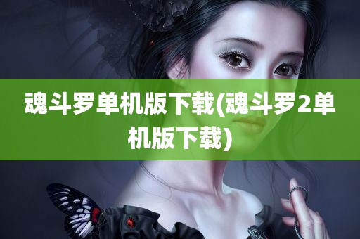 魂斗罗单机版下载(魂斗罗2单机版下载)