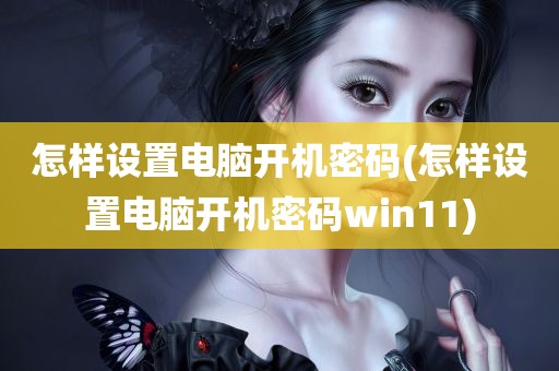 怎样设置电脑开机密码(怎样设置电脑开机密码win11)