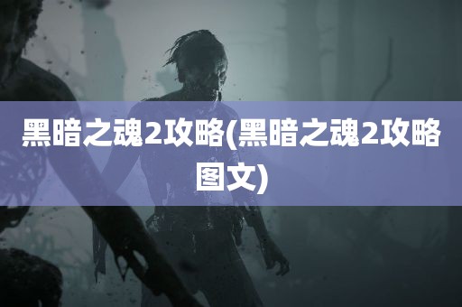 黑暗之魂2攻略(黑暗之魂2攻略图文)