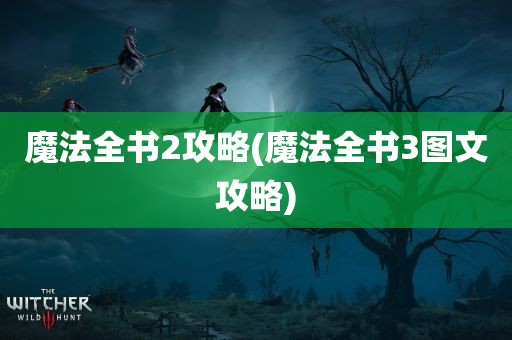 魔法全书2攻略(魔法全书3图文攻略)