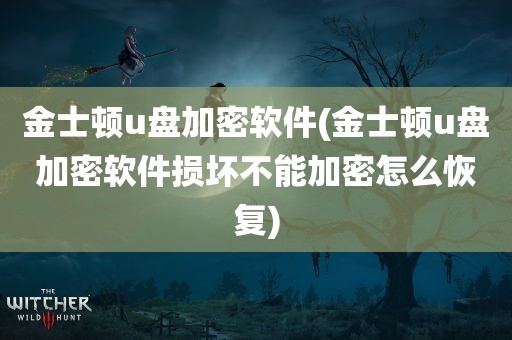 金士顿u盘加密软件(金士顿u盘加密软件损坏不能加密怎么恢复)