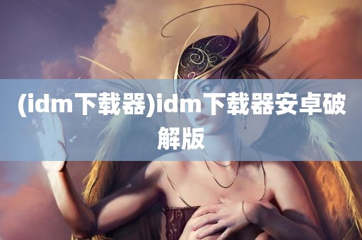 (idm下载器)idm下载器安卓破解版