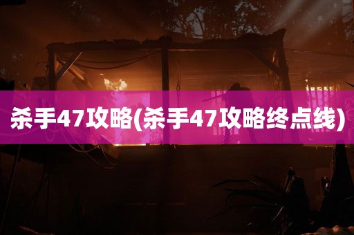 杀手47攻略(杀手47攻略终点线)