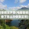 电脑音响没声音(电脑音响没声音了怎么办恢复正常)