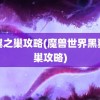 黑翼之巢攻略(魔兽世界黑翼之巢攻略)