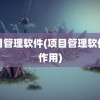 项目管理软件(项目管理软件的作用)