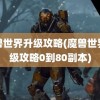 魔兽世界升级攻略(魔兽世界升级攻略0到80副本)