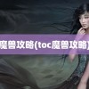 魔兽攻略(toc魔兽攻略)