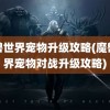 魔兽世界宠物升级攻略(魔兽世界宠物对战升级攻略)