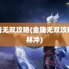 金庸无双攻略(金庸无双攻略全林冲)