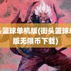 街头篮球单机版(街头篮球单机版无限币下载)