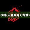 龙武攻略(天涯明月刀龙武攻略)