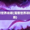 魔兽世界攻略(魔兽世界攻略战场)