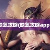 缺氧攻略(缺氧攻略app)