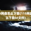 115网盘怎么下载(115网盘怎么下载bt文件)