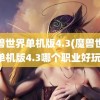 魔兽世界单机版4.3(魔兽世界单机版4.3哪个职业好玩)