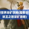 魔兽世界采矿攻略(魔兽世界巫妖王之怒采矿攻略)